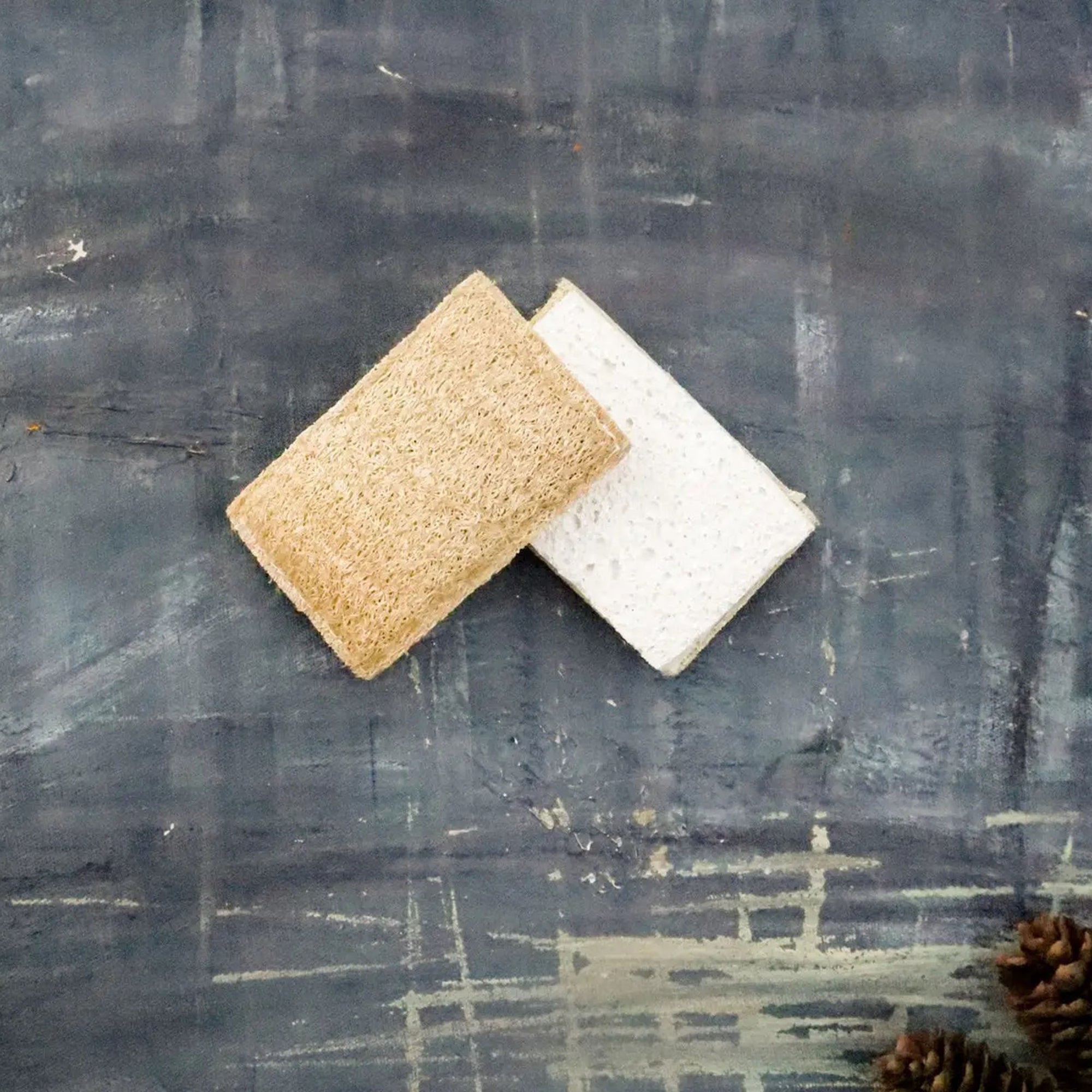 Eco Sponge  (2 pack)