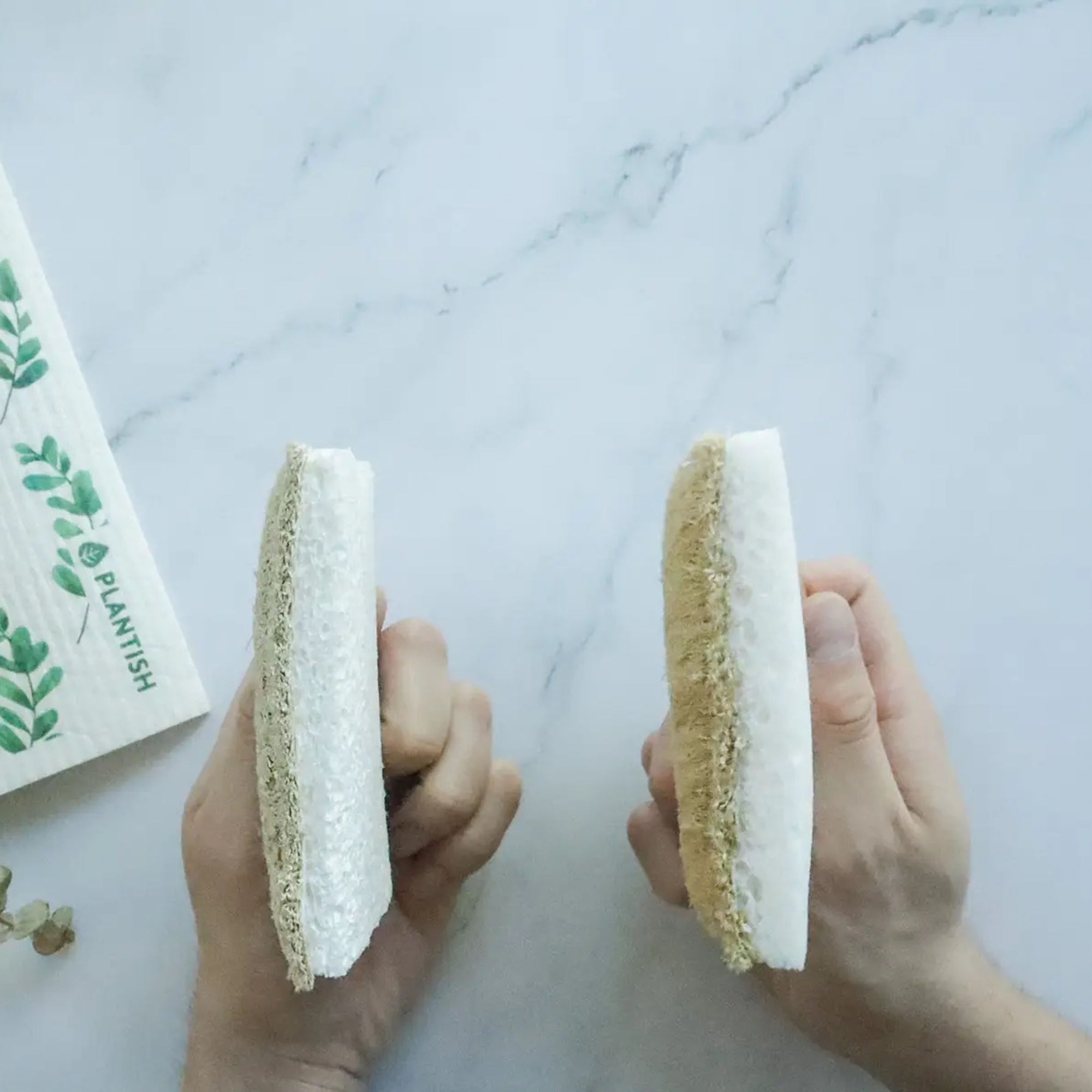 eco sponges 