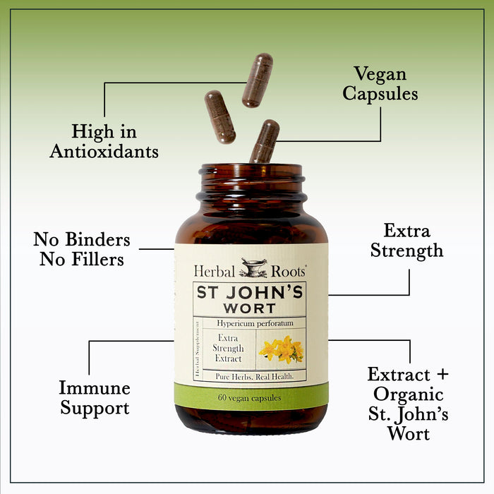 Bottle of Herbal Roots St. John's wort with three pills spilling out of the top of the bottle. There are several lines pointing to the bottle and the capsules. The lines say High in antioxidants, Vegan Capsules, Extra strength, No Binders or fillers, immune support, and Extract plus organic St. John's Wort
