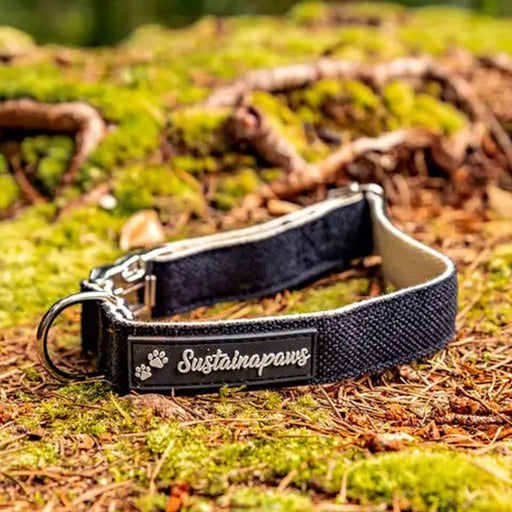 Hemp & Organic Cotton Eco Dog Collar - Medium collar is 16” - 20”