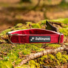 eco friendly Sustainapaws dog collars