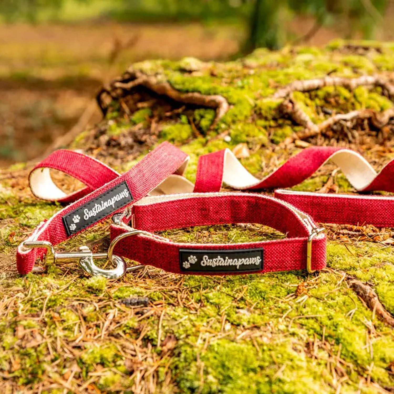 Durable Hemp & Organic Cotton Eco Dog Lead 