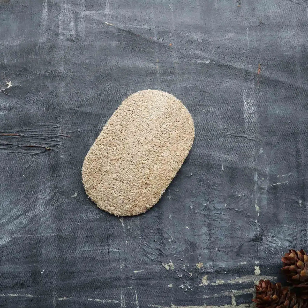Loofah Dishwashing Sponge