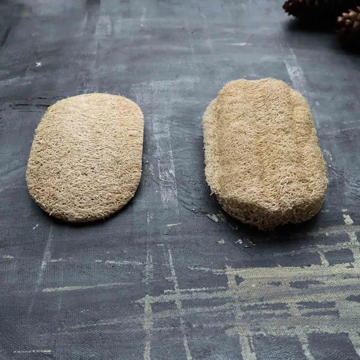 pumice stone and exfoliating loofah sponge