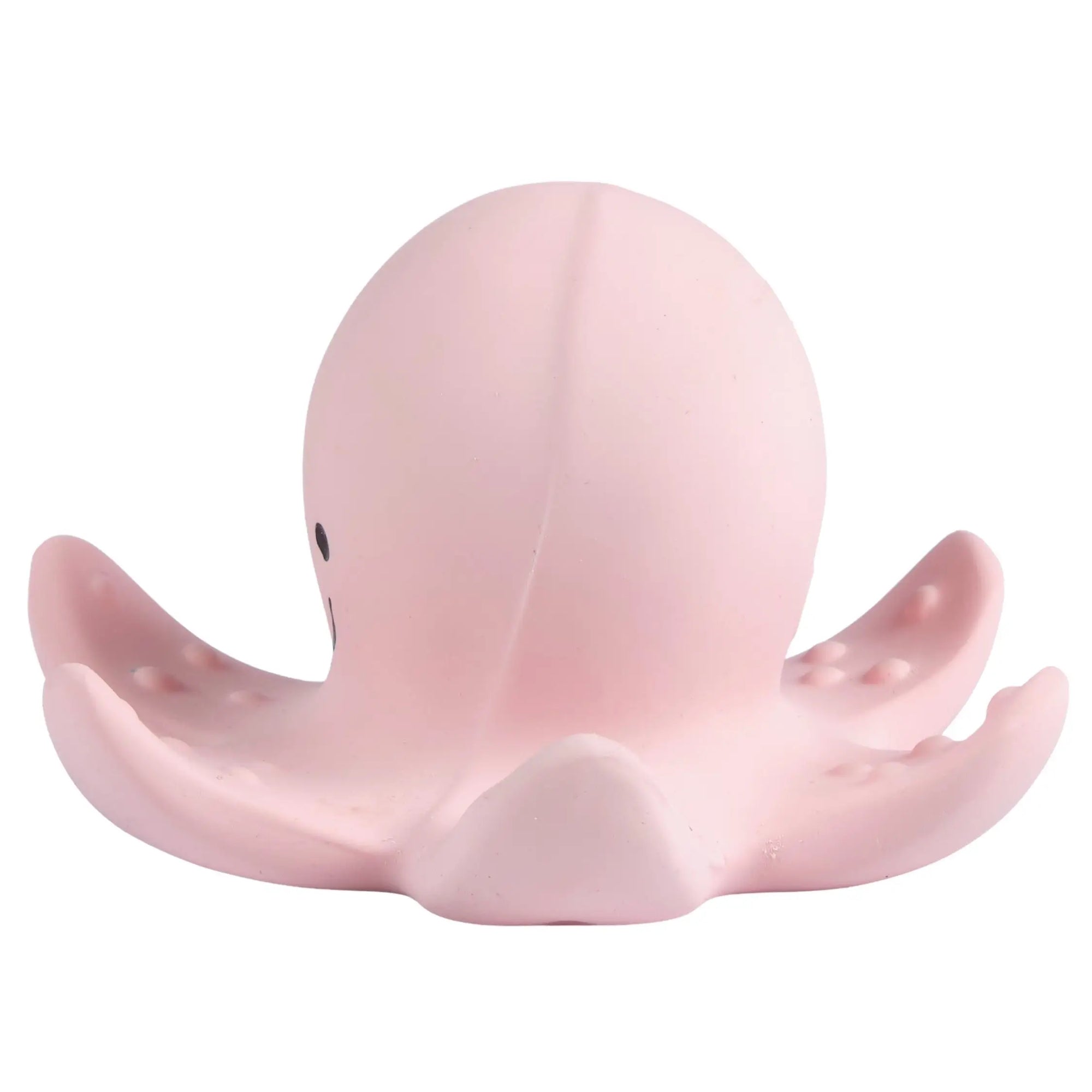 Rubber Teether, Rattle & Bath Toy - Octopus